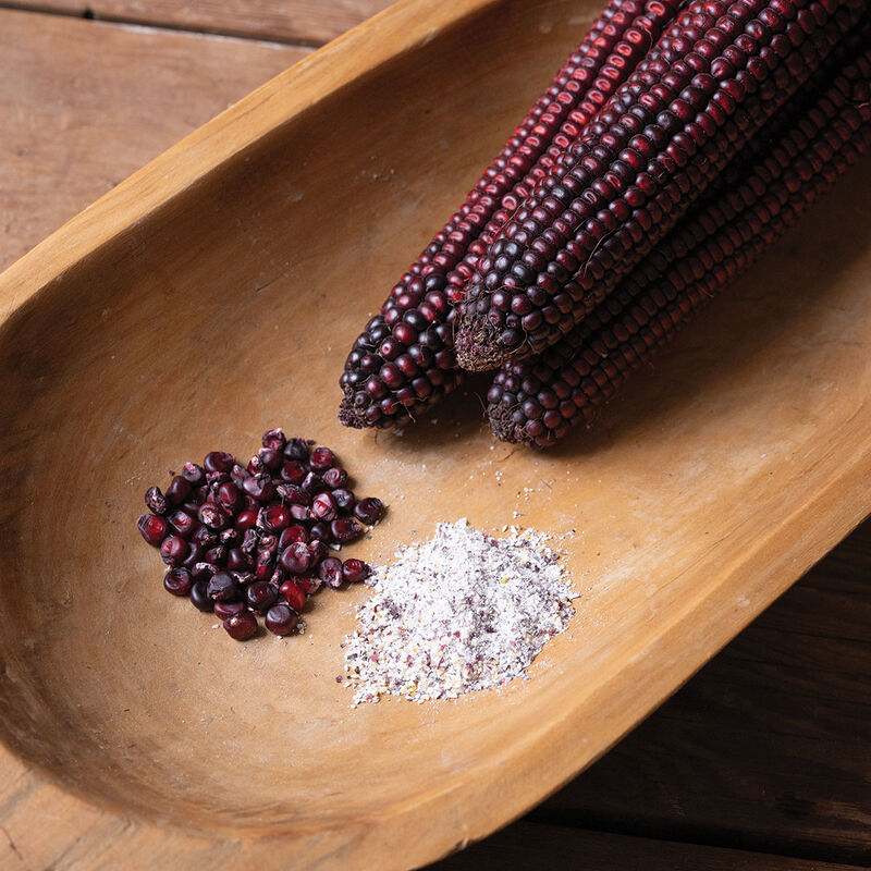 Indian Art Red Fire Dry Corn