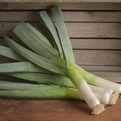 Rally Leeks