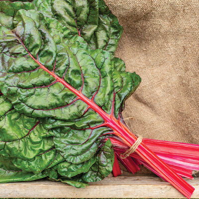 Charbell Swiss Chard