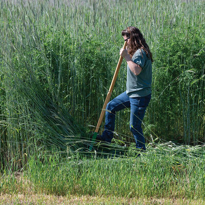 Cover Crop Termination Bar Bed Preparation Tools