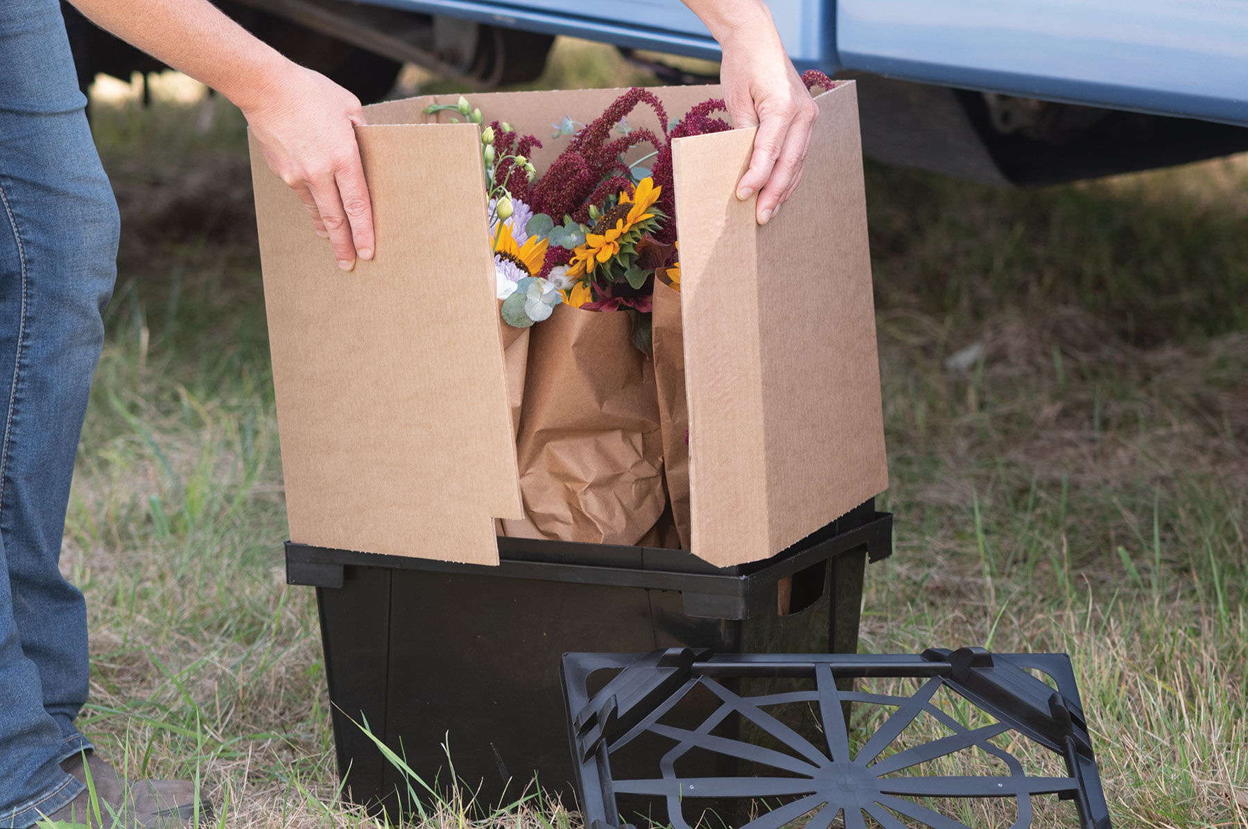 Valencia Collar &ndash; 13" Valencia Series