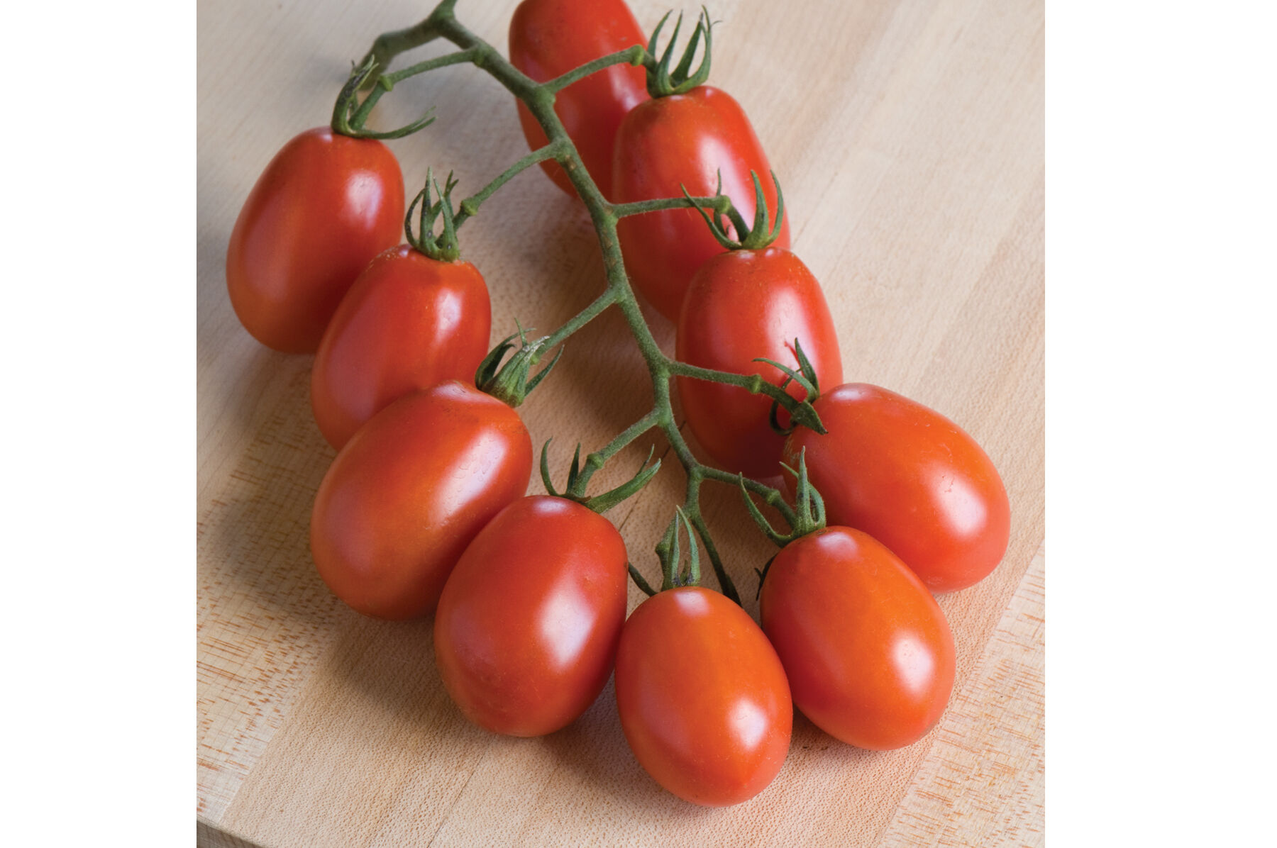 Verona Paste Tomatoes