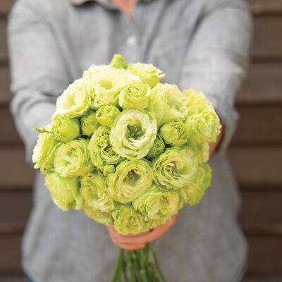 Rosanne 2 Clear Green Lisianthus