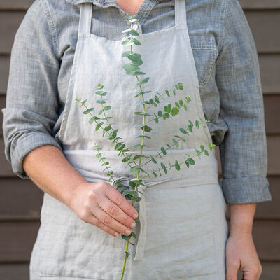 Baby Blue Bouquet Eucalyptus