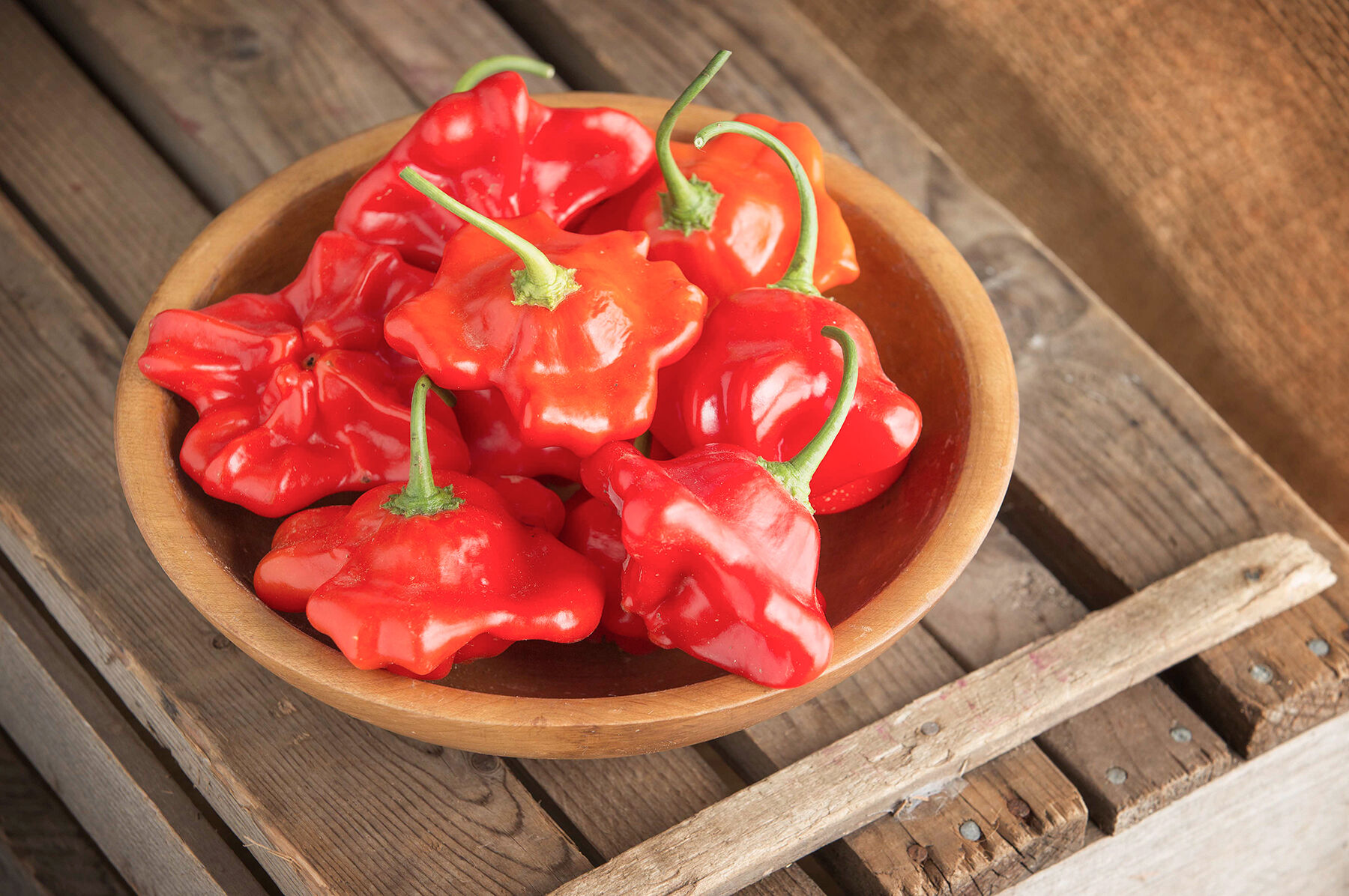 Mad Hatter Hot Peppers