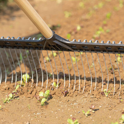 Tine Weeding Rake – 21" Hoes & Cultivators