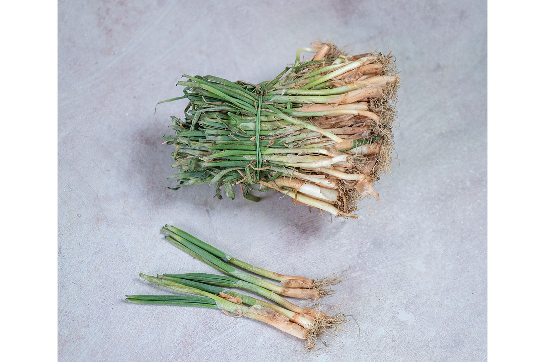 Ailsa Craig Full-Size Onions