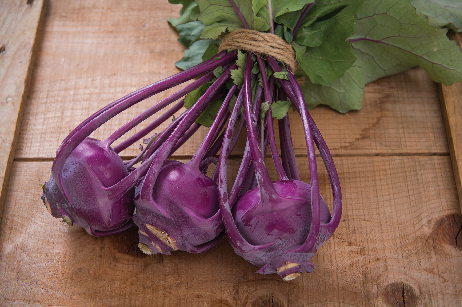 Azur Star Kohlrabi