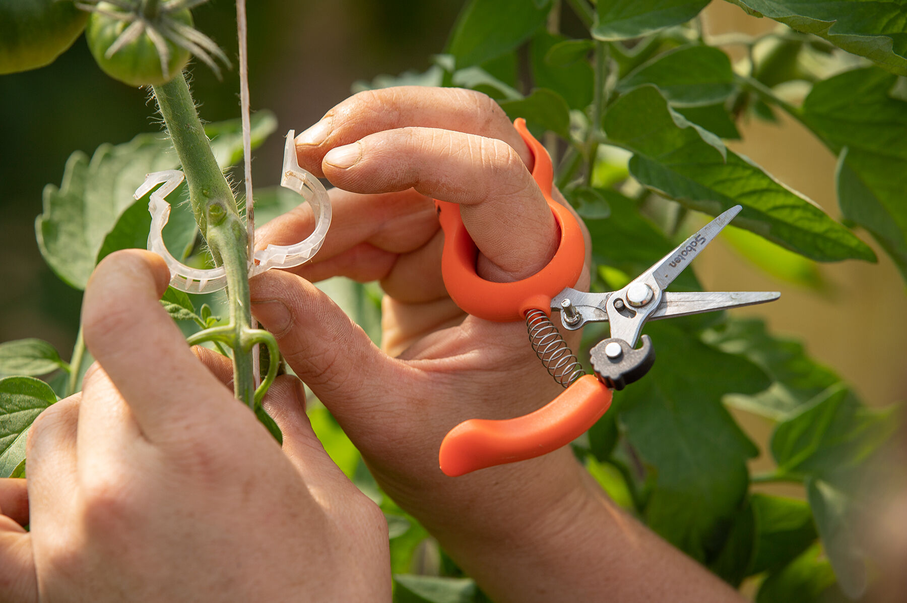Hands-Free Pruning Shears &ndash; Stainless Steel Shears & Scissors