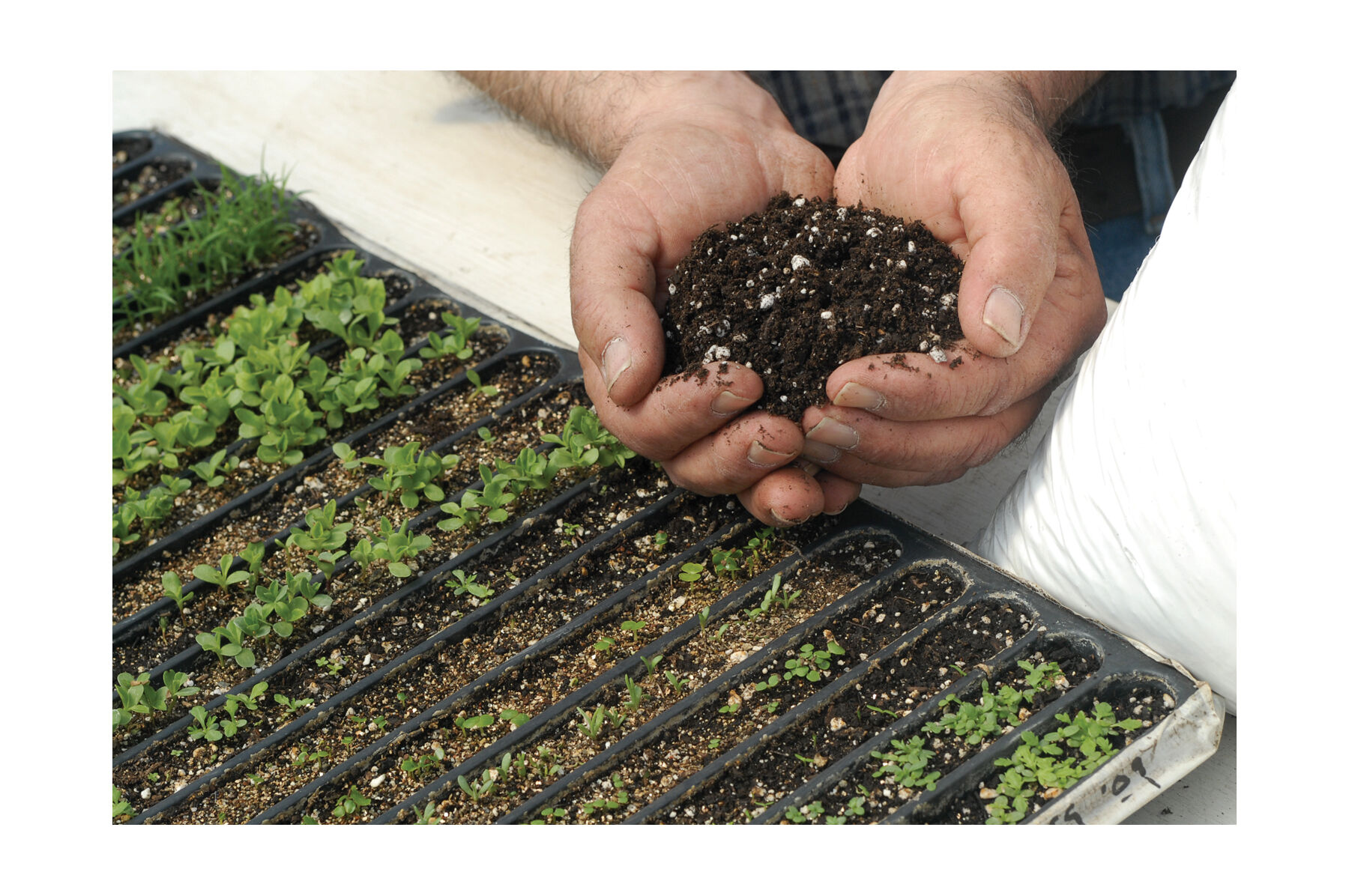 Johnny's Germination Mix &ndash; 20 Qt. Growing Media