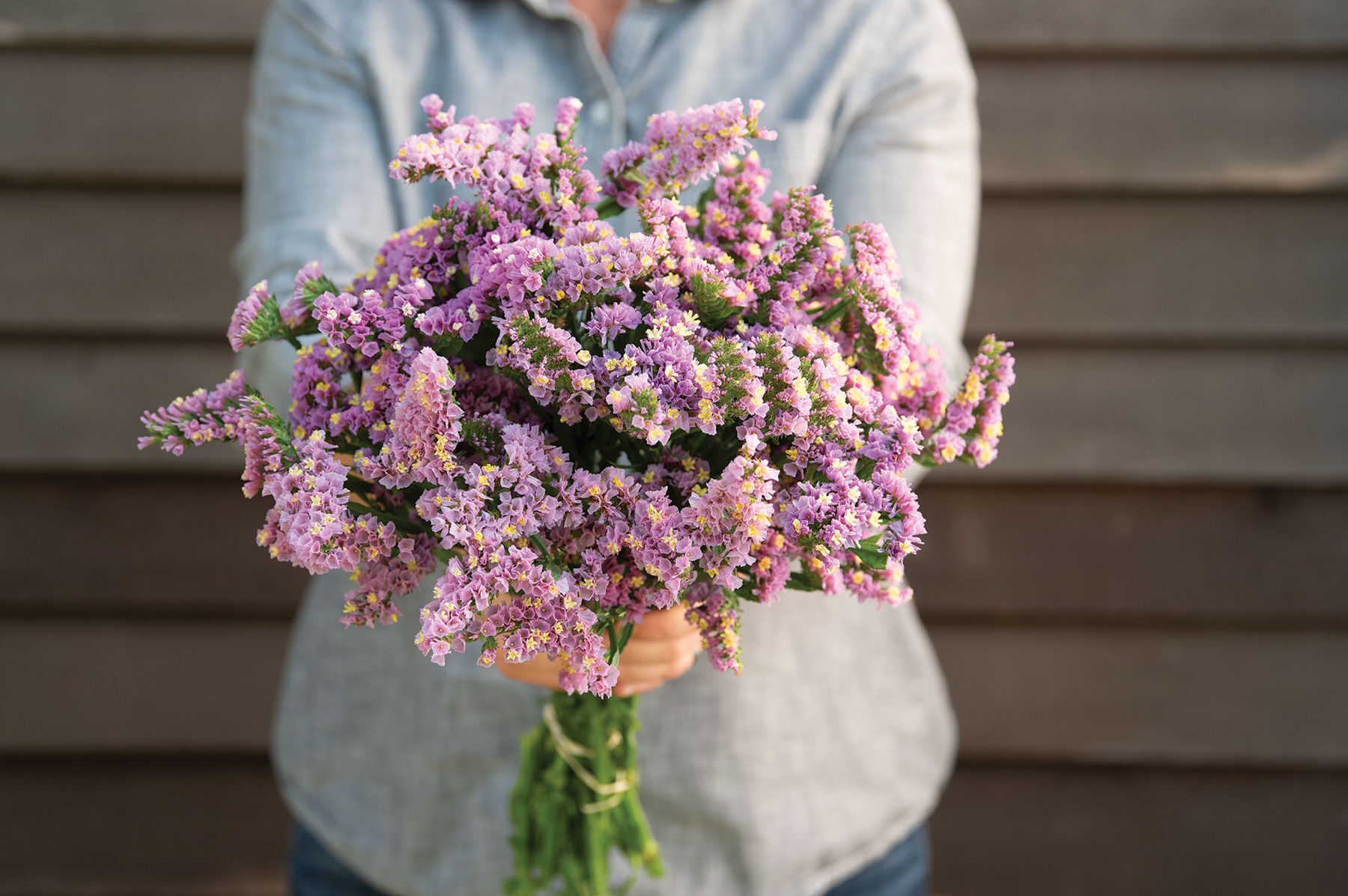 Forever Happy Statice