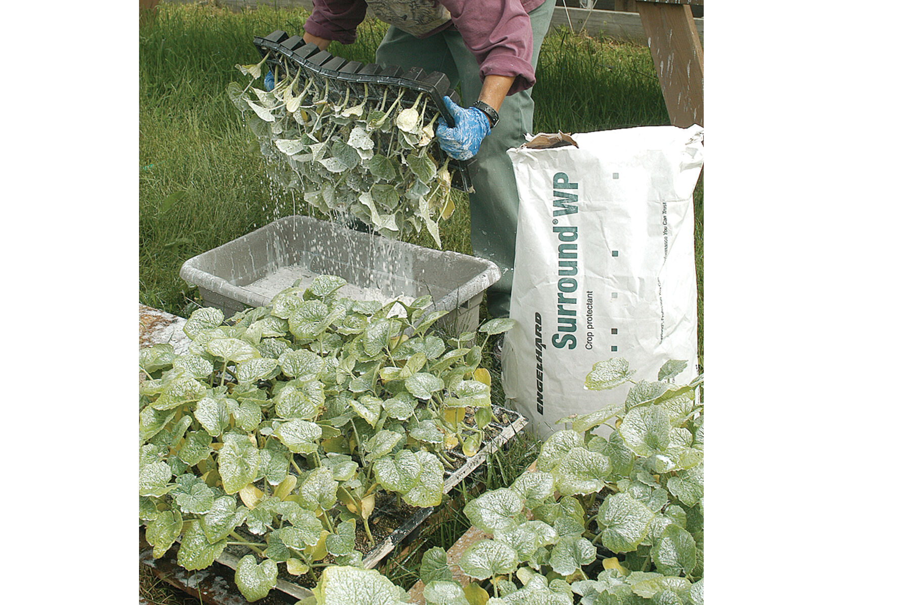 Surround&reg; WP &ndash; 25 Lb. Crop Protection