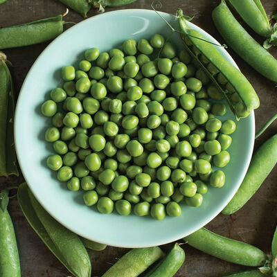 Bistro Shelling Peas