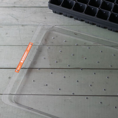 50-Hole Tray for Plug Trays &ndash; 6 mm Holes Drop Seeders