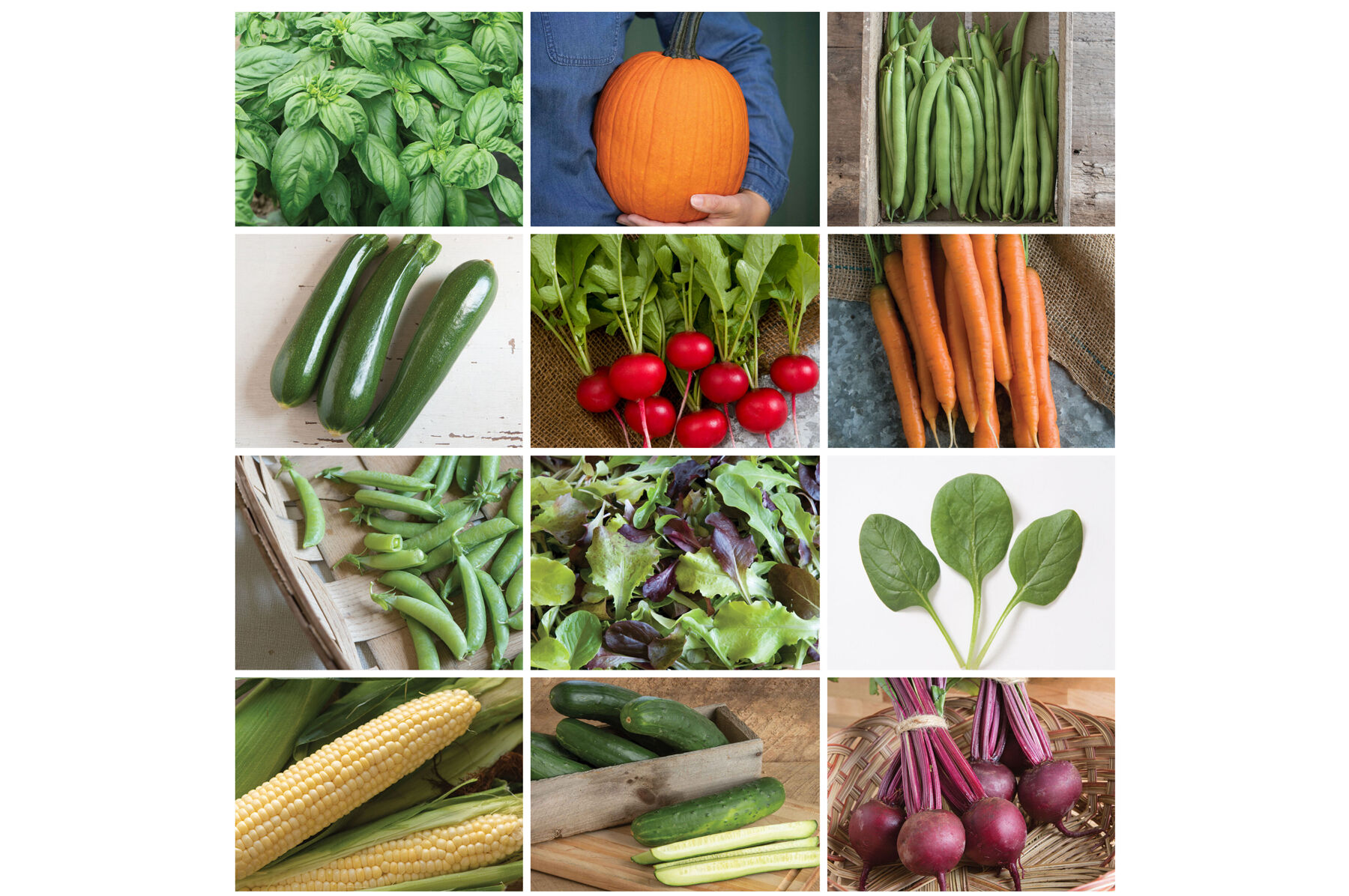 Easy Choice Garden Set Sets