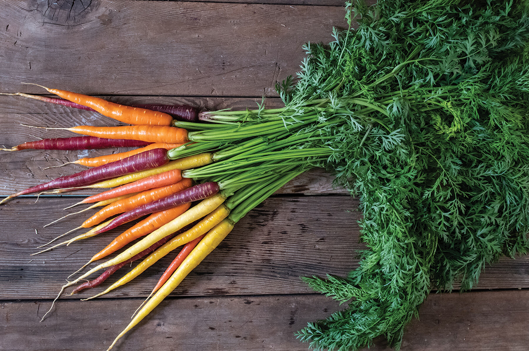 Glow Stix Moonrise Mix Carrot Mixes