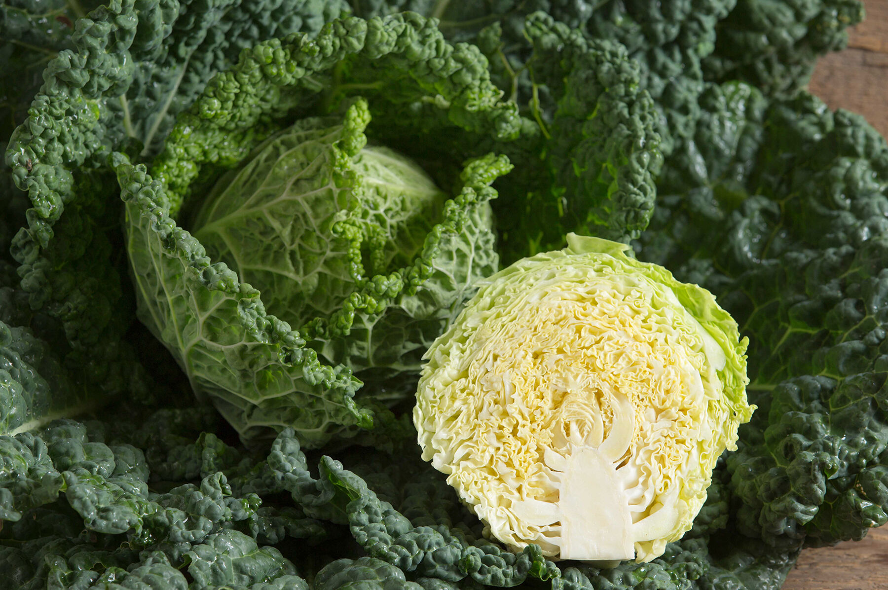 Alcosa Fresh Market Cabbage