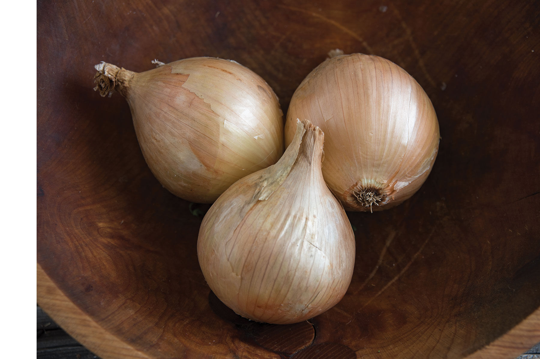 Ailsa Craig Exhibition Onion Plants & Sets