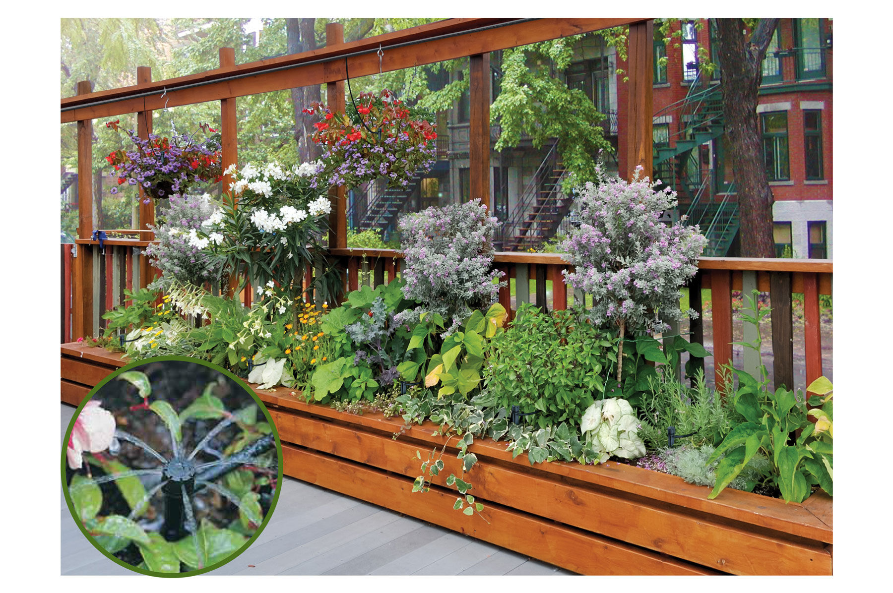 Johnny's Patio Irrigation Kit Watering and Irrigation