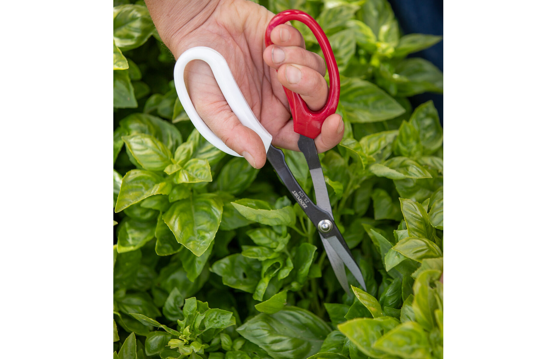 Garden Scissors Shears & Scissors