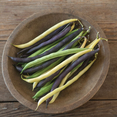 Trilogy Mix Bush Beans