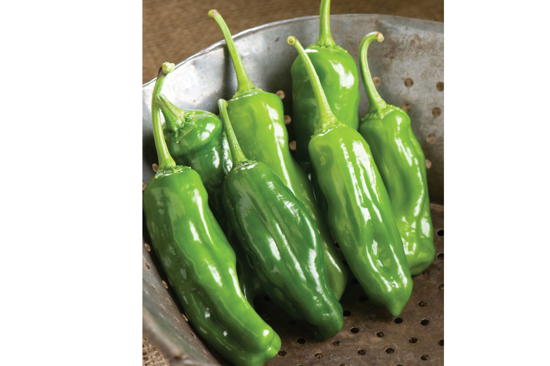 Mellow Star Sweet Peppers