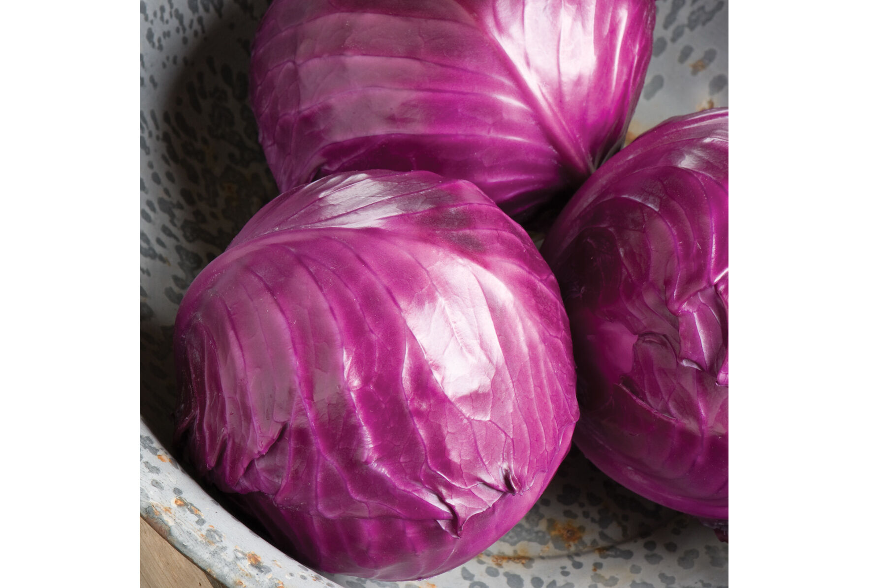 Ruby Perfection Storage Cabbage