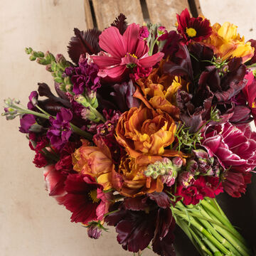 null Chocolate & Wine Shades